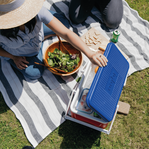 Igloo Picnic retro