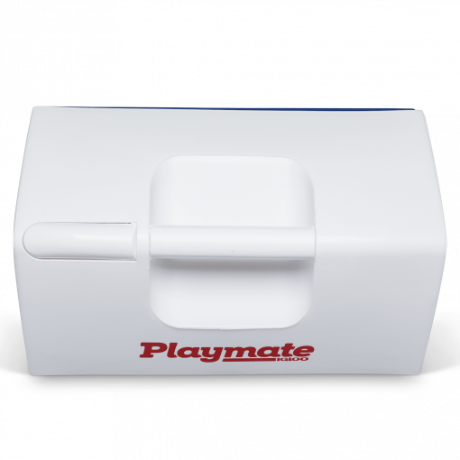 Planta nevera portátil igloo playmate