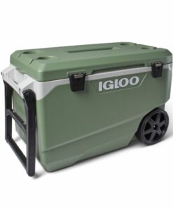 Eco